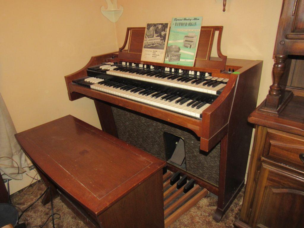 Organ