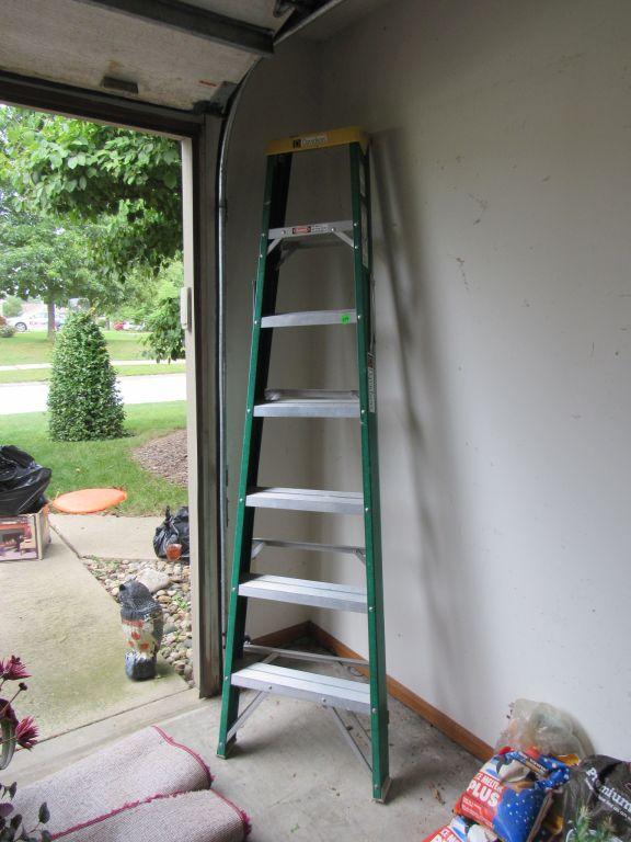 Davidson 7' Step Ladder