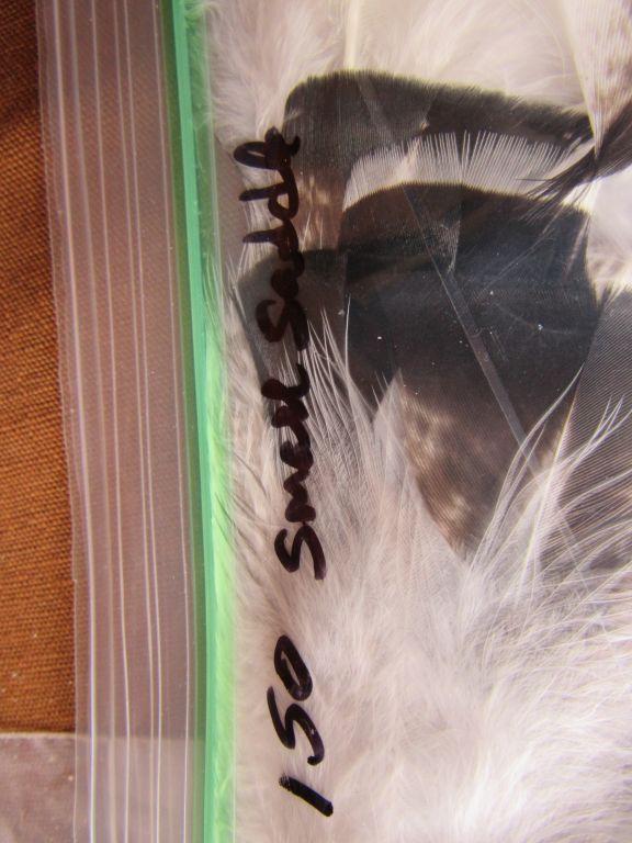 Assorted feathers for fly making