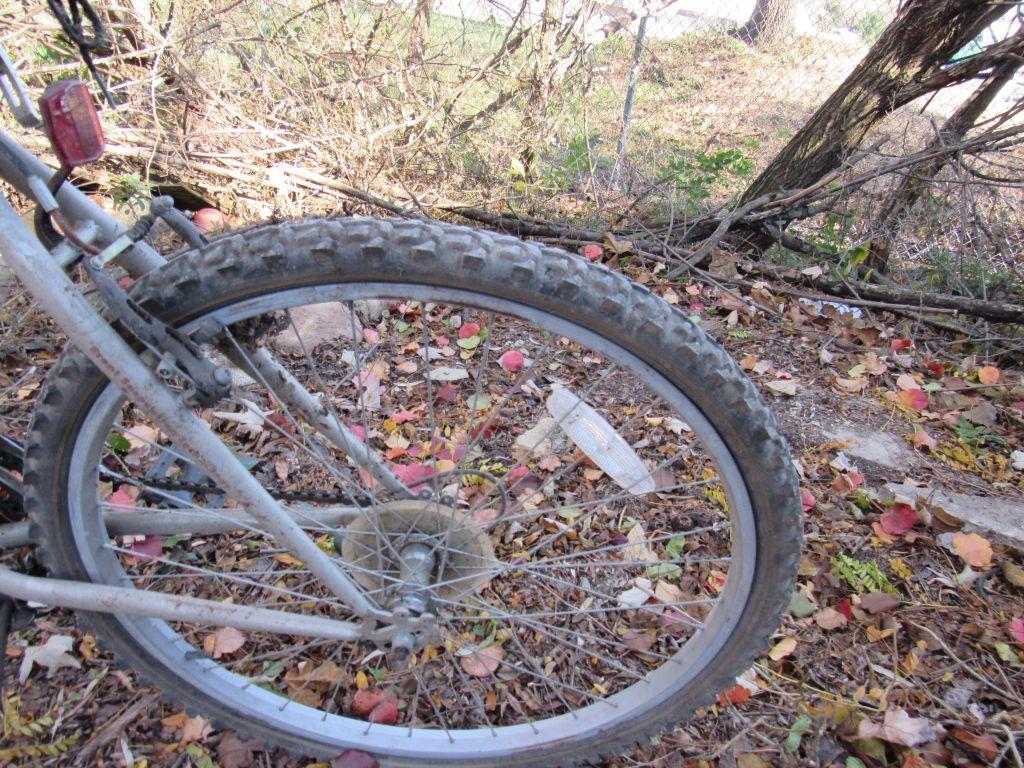 Women's bicycle