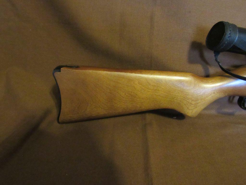 Ruger 10-22