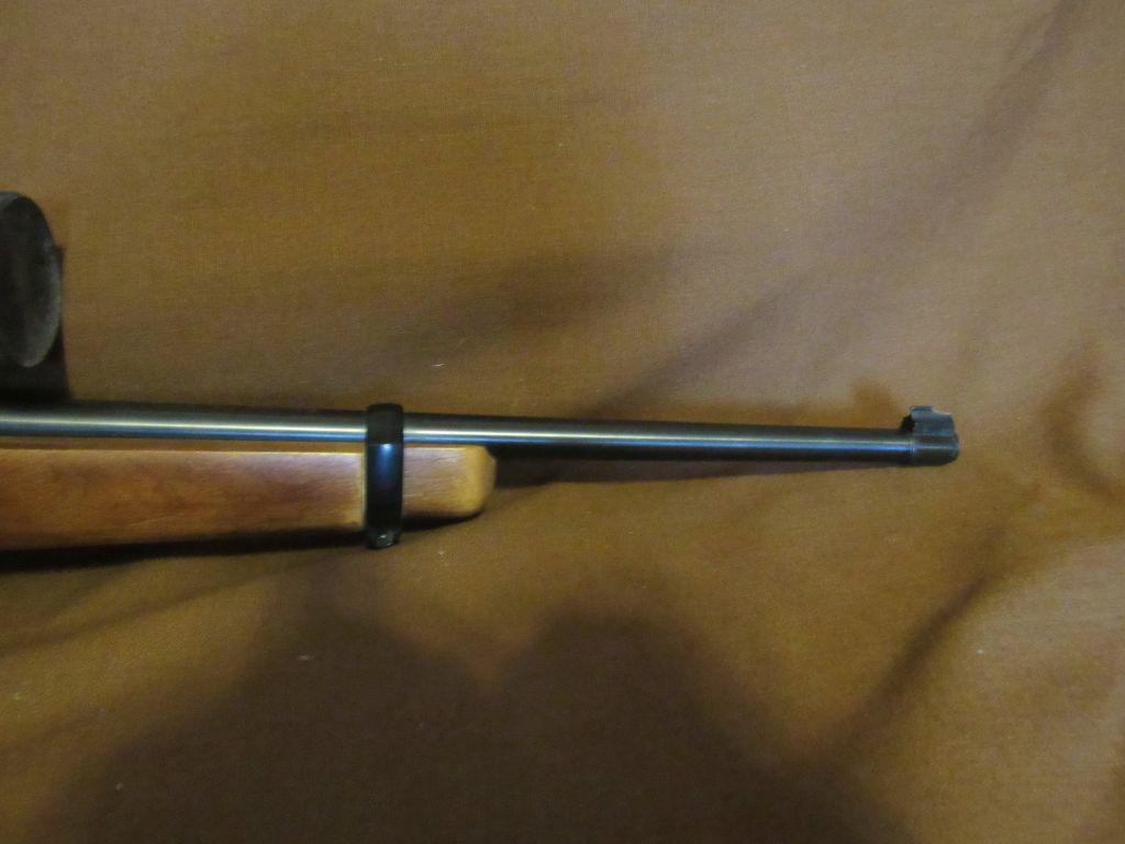 Ruger 10-22