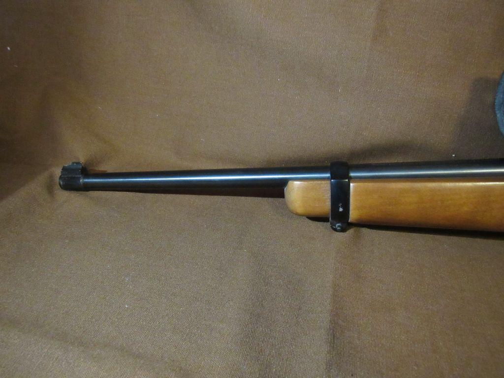 Ruger 10-22