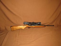 Ruger 10-22