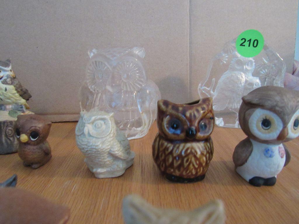 Tiny owl lot