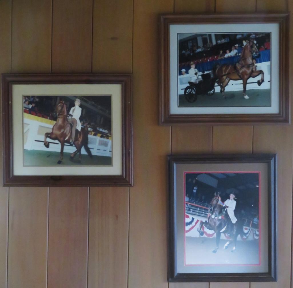 Three Framed Horse Showing photographs