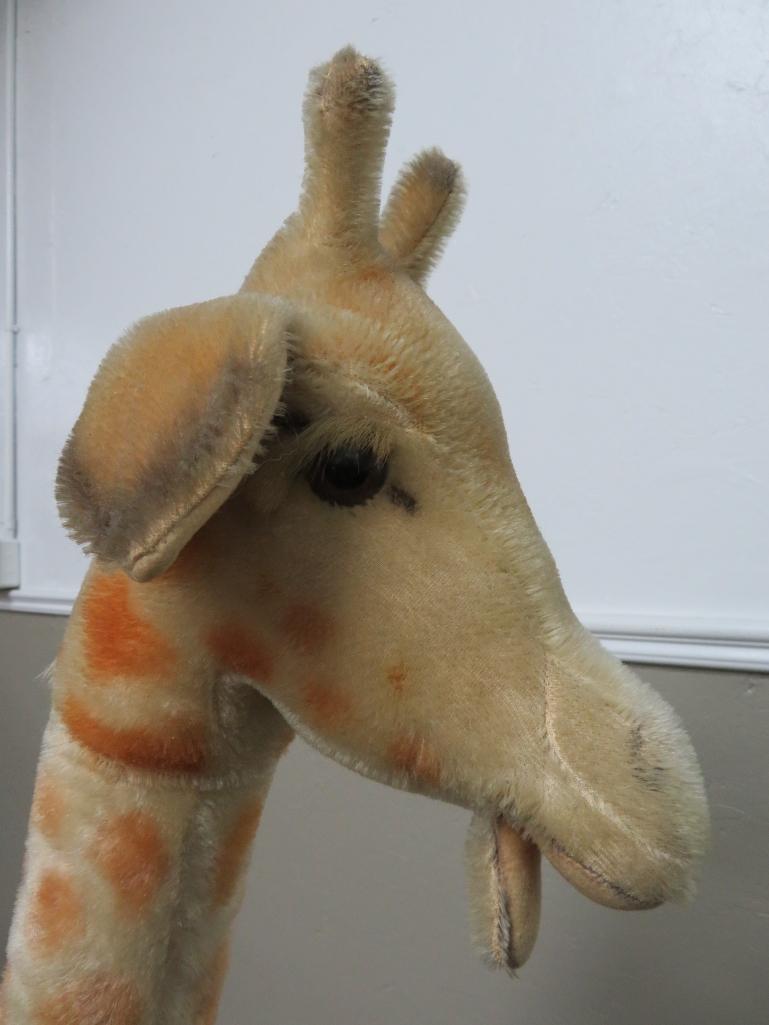 57" Steiff Studio Giraffe with button ear tag