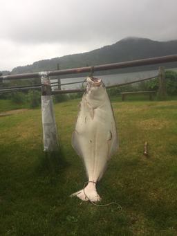 LUTRALAKE SALMON SET NET SITE/FISH CAMP, KODIAK ALASKA