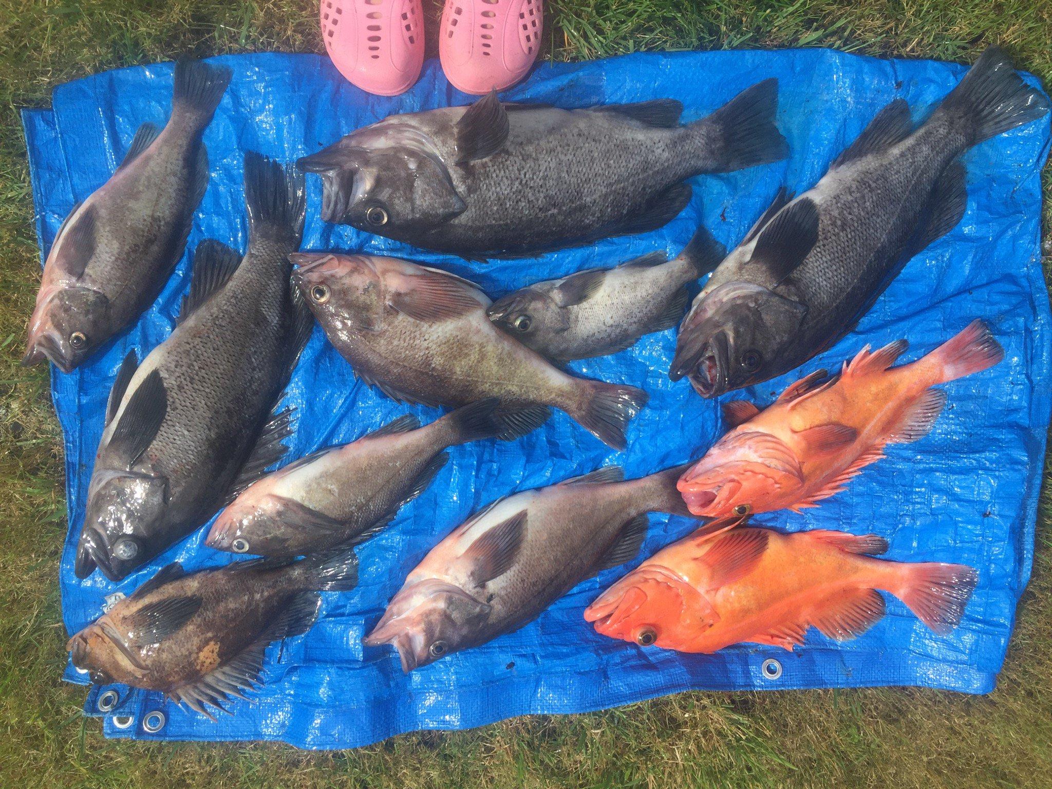 LUTRALAKE SALMON SET NET SITE/FISH CAMP, KODIAK ALASKA