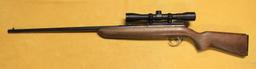 REMINGTON 22 RIFLE