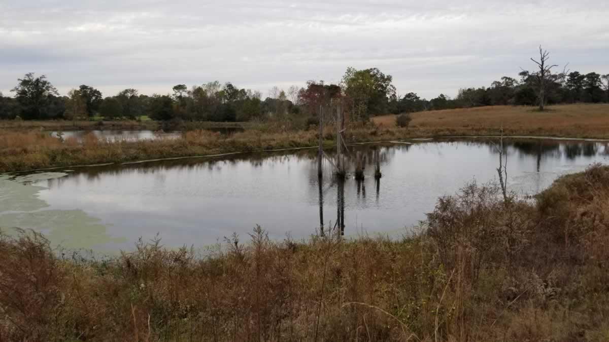 Approx. 31 acres containing 3 ponds, 1 Large Metal Barn, 1 small storage bu