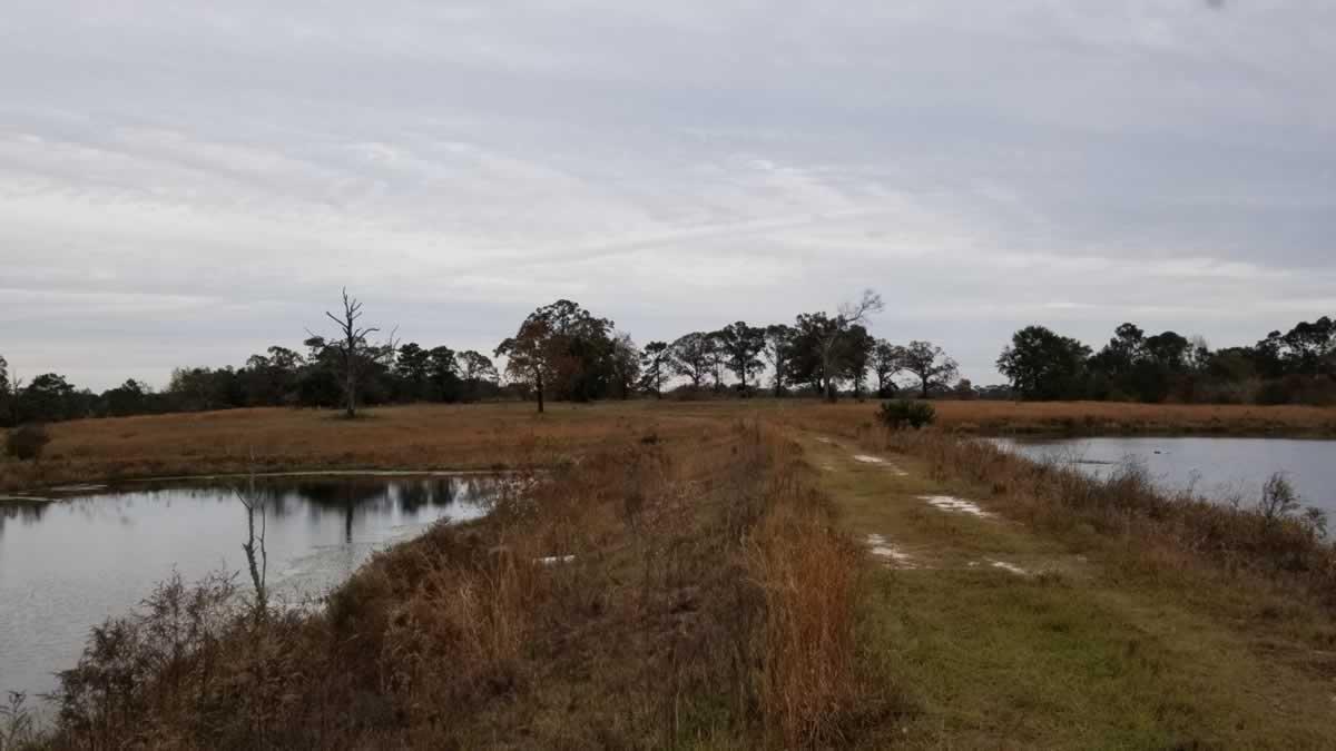 Approx. 31 acres containing 3 ponds, 1 Large Metal Barn, 1 small storage bu