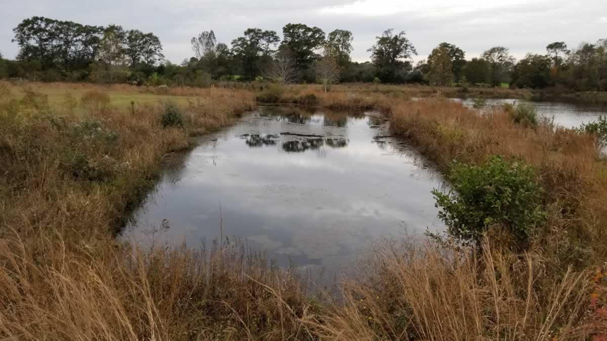 Approx. 31 acres containing 3 ponds, 1 Large Metal Barn, 1 small storage bu