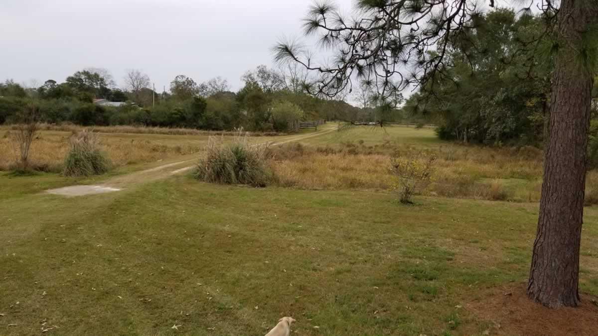 Approx. 31 acres containing 3 ponds, 1 Large Metal Barn, 1 small storage bu