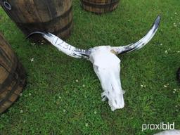 Cow Skull & Horns