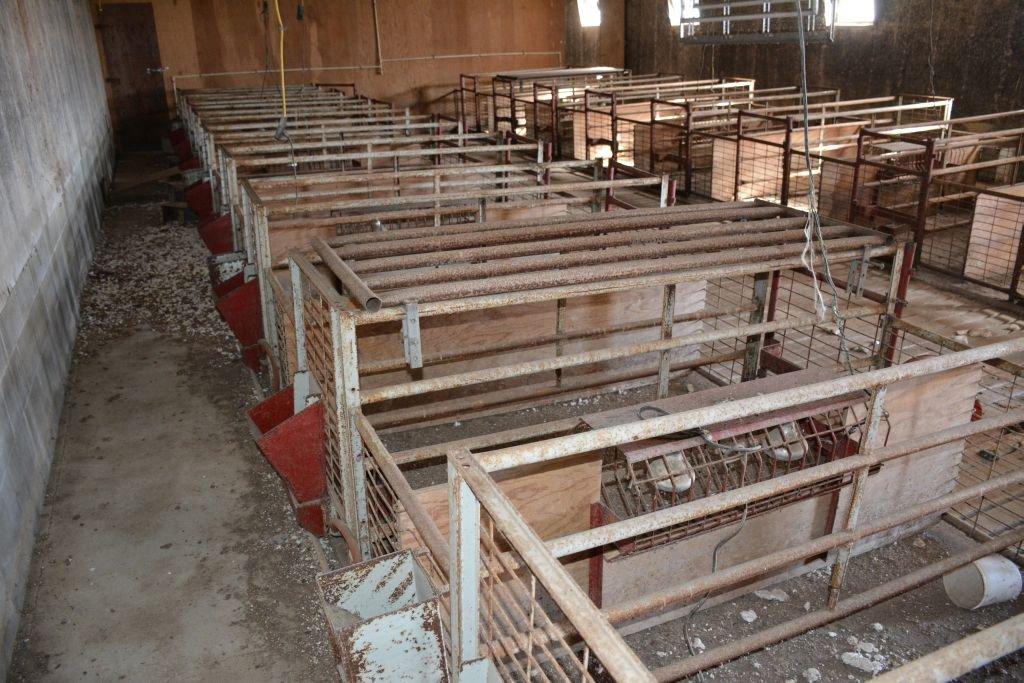 1 - Lot Of Approx. 18 Farrowing Crates, To Be Removed, With Feed Troughs An