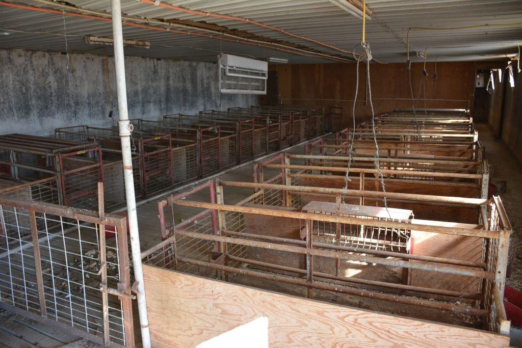 1 - Lot Of Approx. 18 Farrowing Crates, To Be Removed, With Feed Troughs An