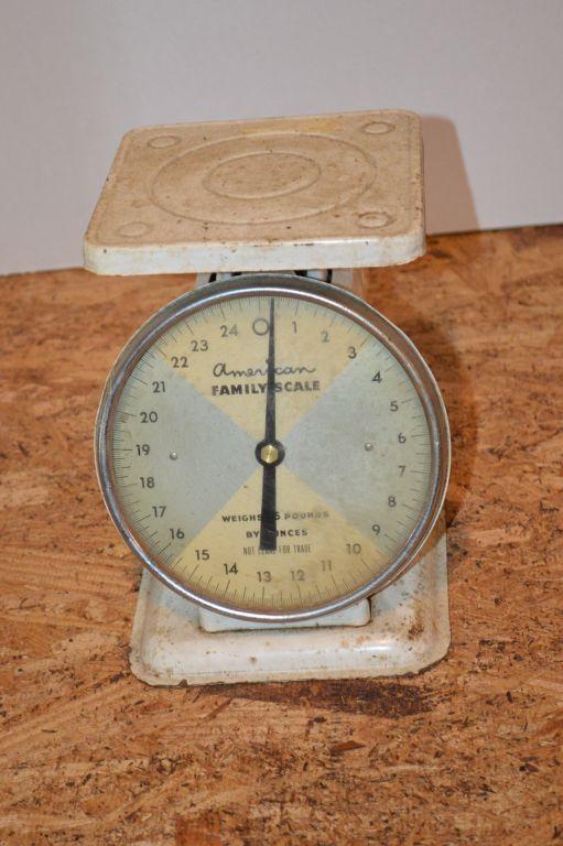 Group of 3 Vintage American Family Kitchen Scales