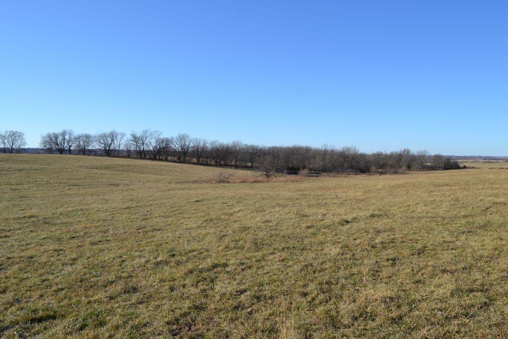 80 ACRES +/- NODAWAY COUNTY FARMLAND - OLDER HOME & IMPROVEMENTS