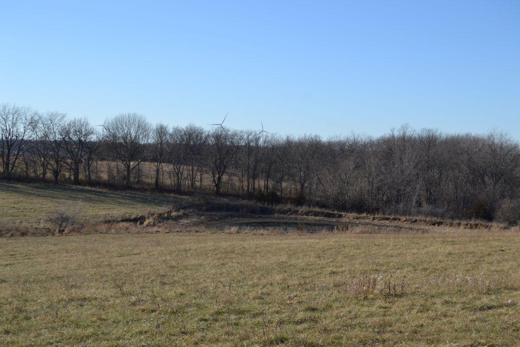 80 ACRES +/- NODAWAY COUNTY FARMLAND - OLDER HOME & IMPROVEMENTS