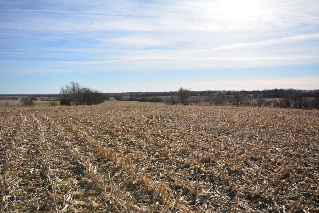 TRACT 3 - 158 ACRES +/-