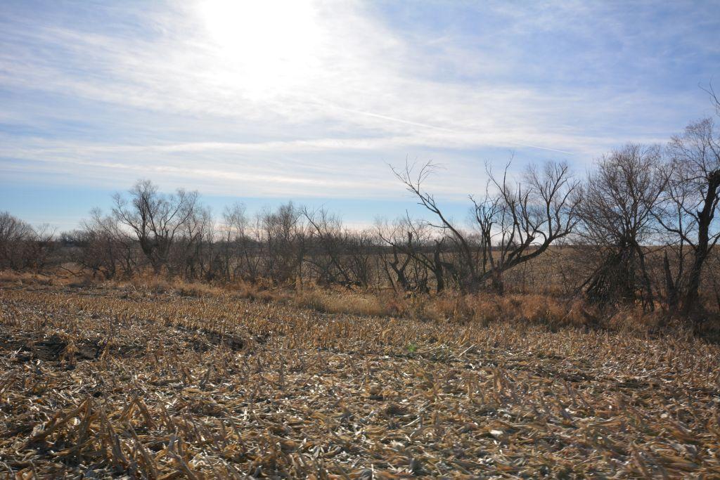 TRACT 3 - 158 ACRES +/-