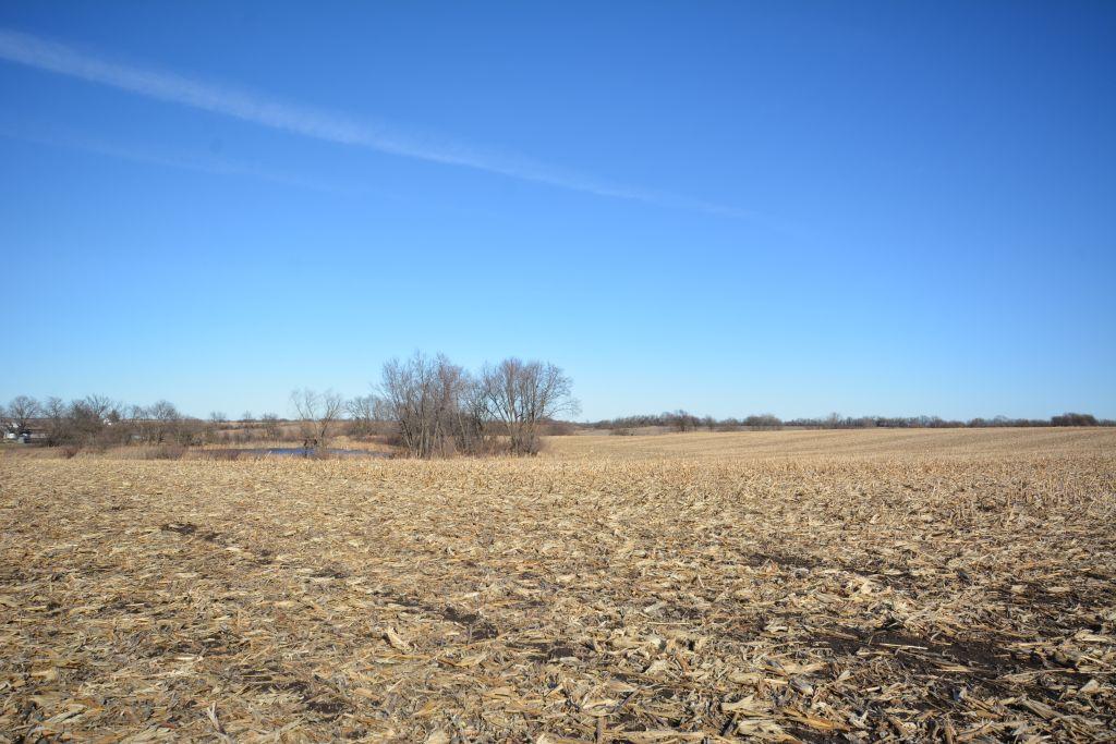 TRACT 3 - 158 ACRES +/-