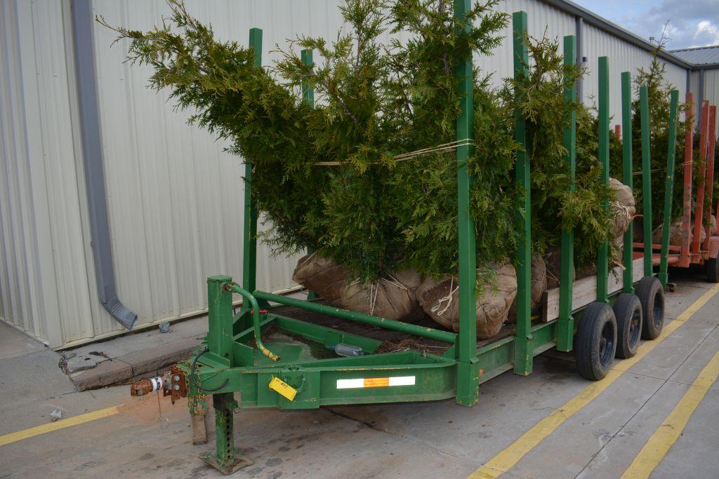 15'x6' Triple Axle Tree Trailer w/ Removable Stays, no fenders, Walker Buil