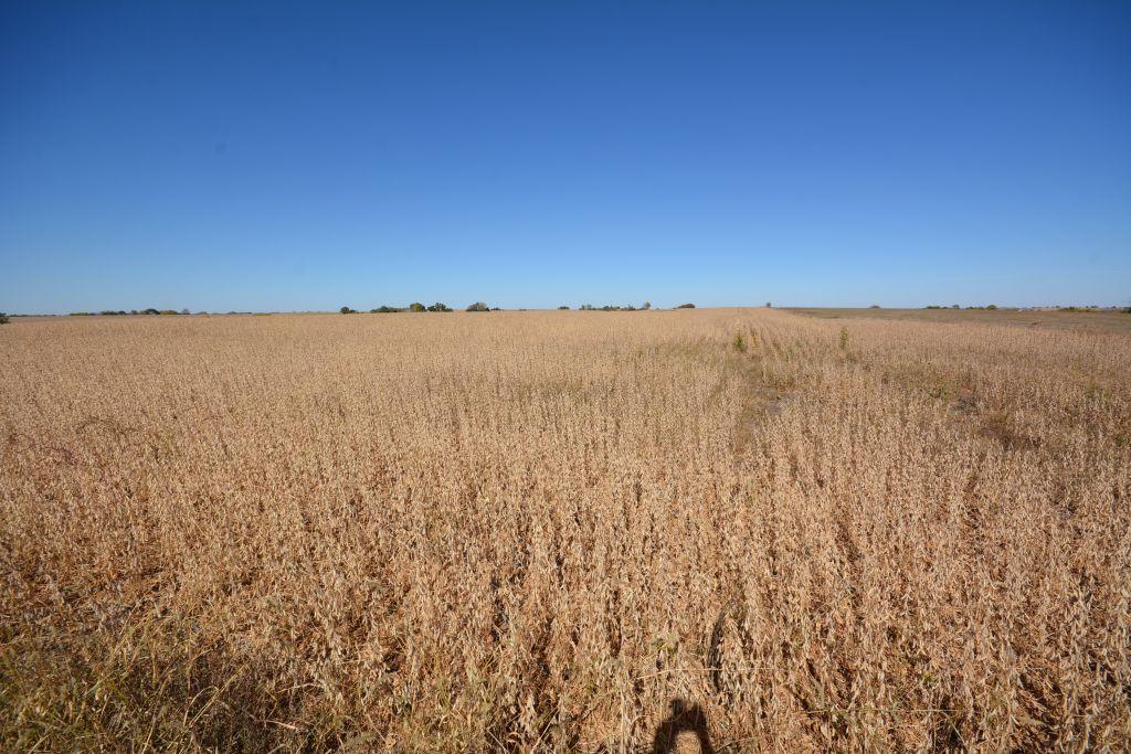 TRACT 6 - 159 Acres m/l Located from Morrill, KS, North 3 miles on Blacktop Dewberry Rd. to 320th St