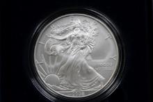 2008 U.S. Silver Eagle; Uncirc.