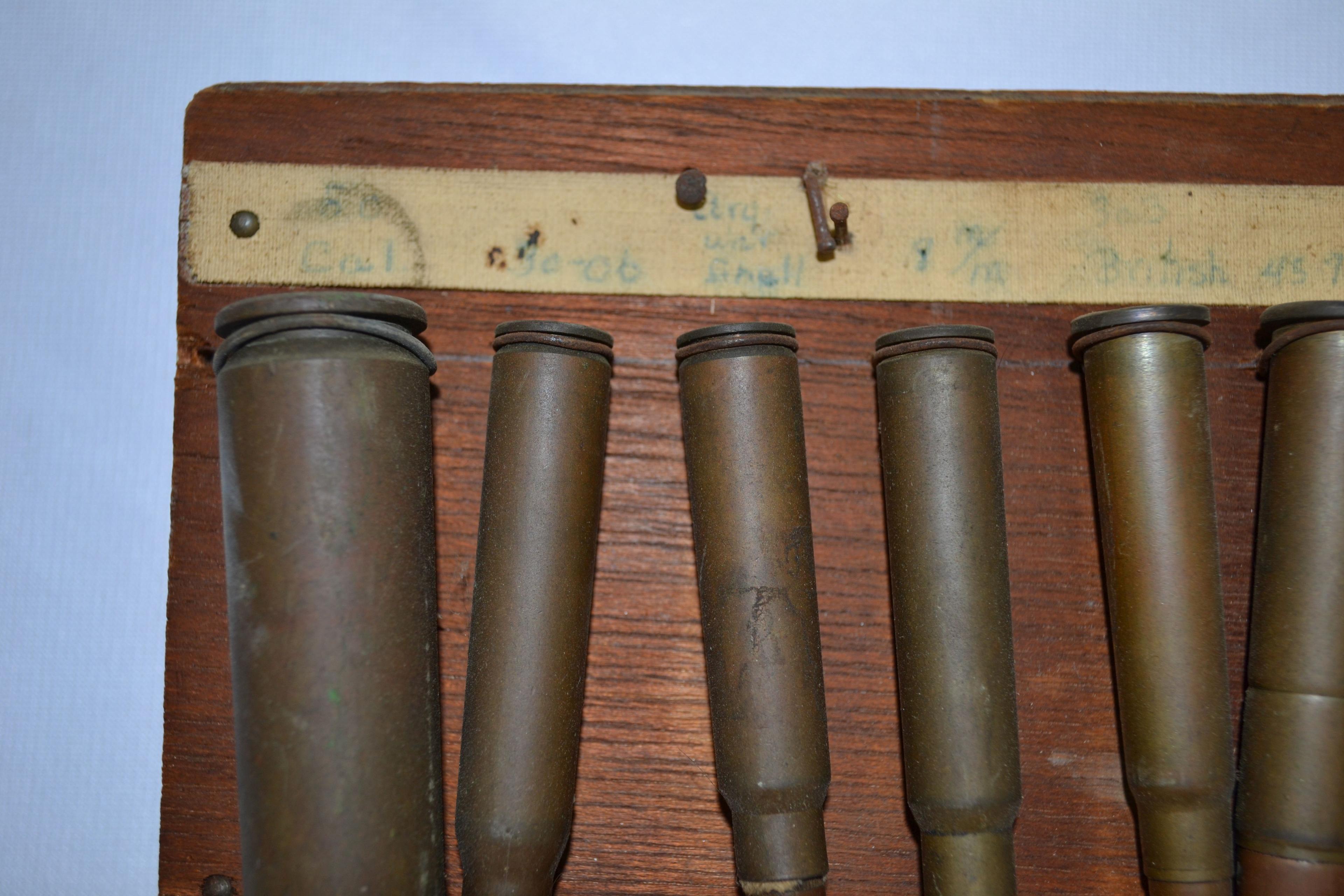 Display of Assorted Brass Shells and Casings; 12"x12"