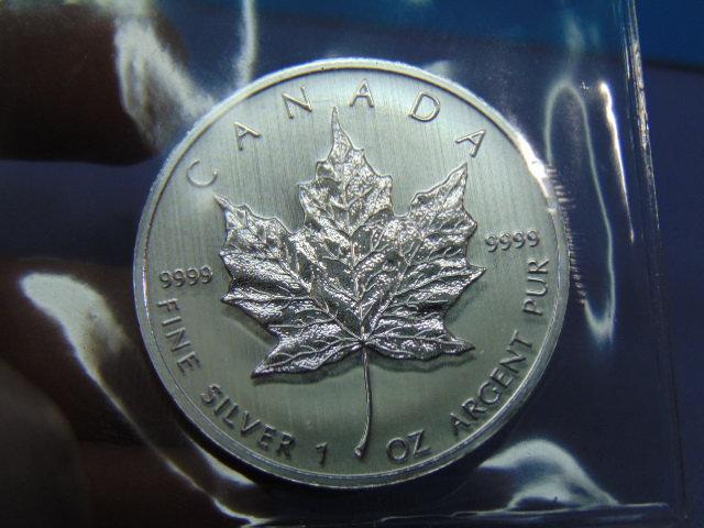 2013 Canada $5 Silver Maple Leaf Bullion Coin - BU