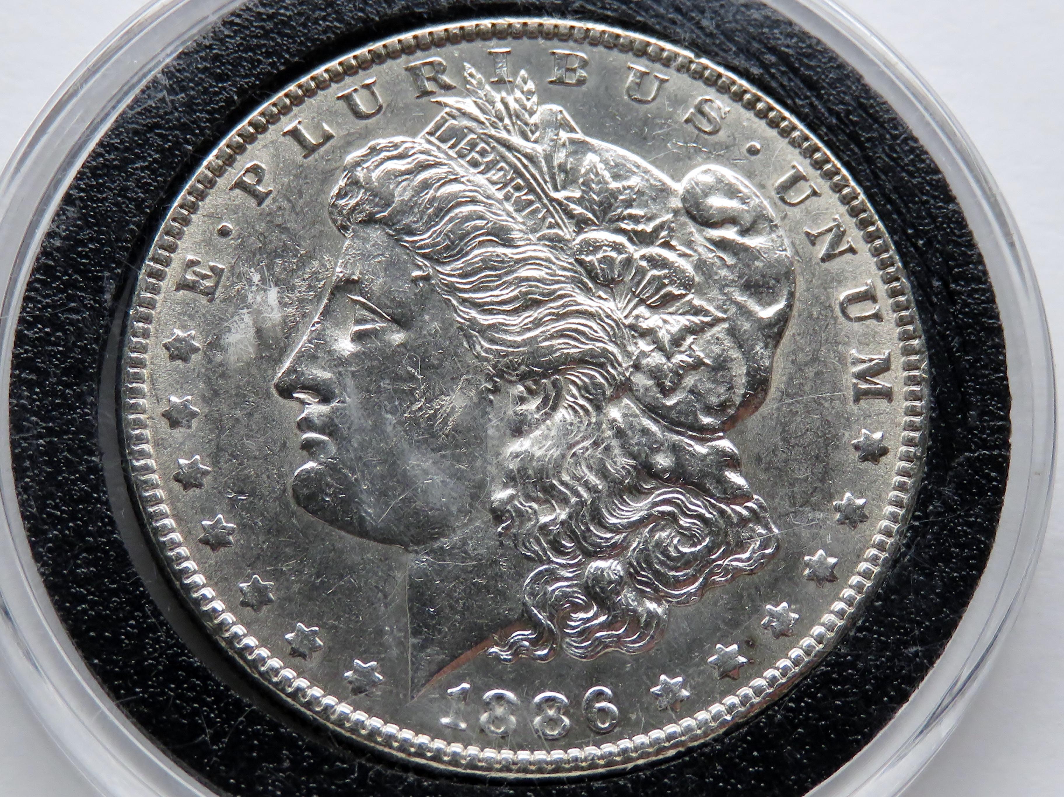Morgan $ 1886 Unc obv bag marks, in Cointain