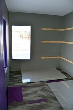 Shop Built 8'x12' Shed, Windows, On Skids, Built To Replicate The MN Vikings Stadium, Frozen On