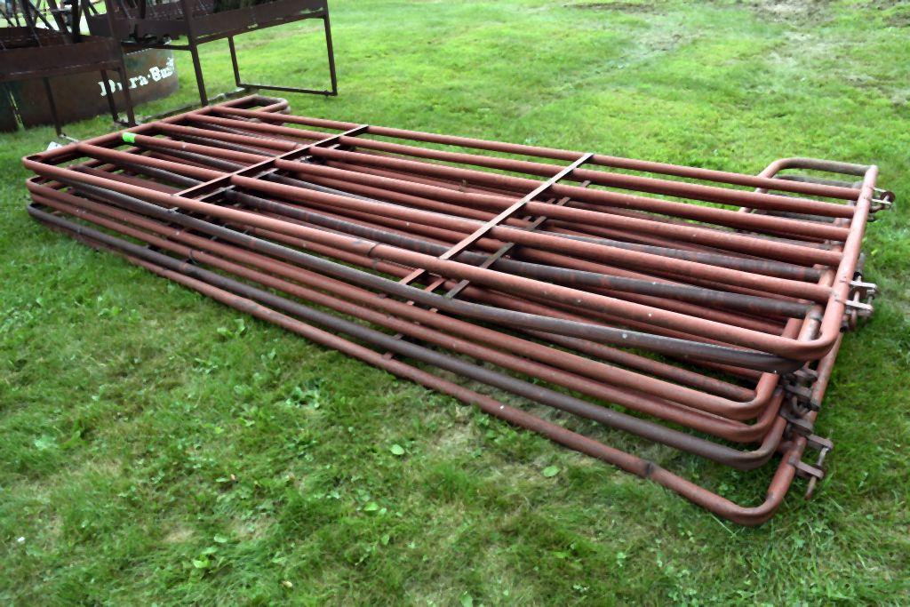 (6) 12' Metal Cattle Gates, Selling 6x$
