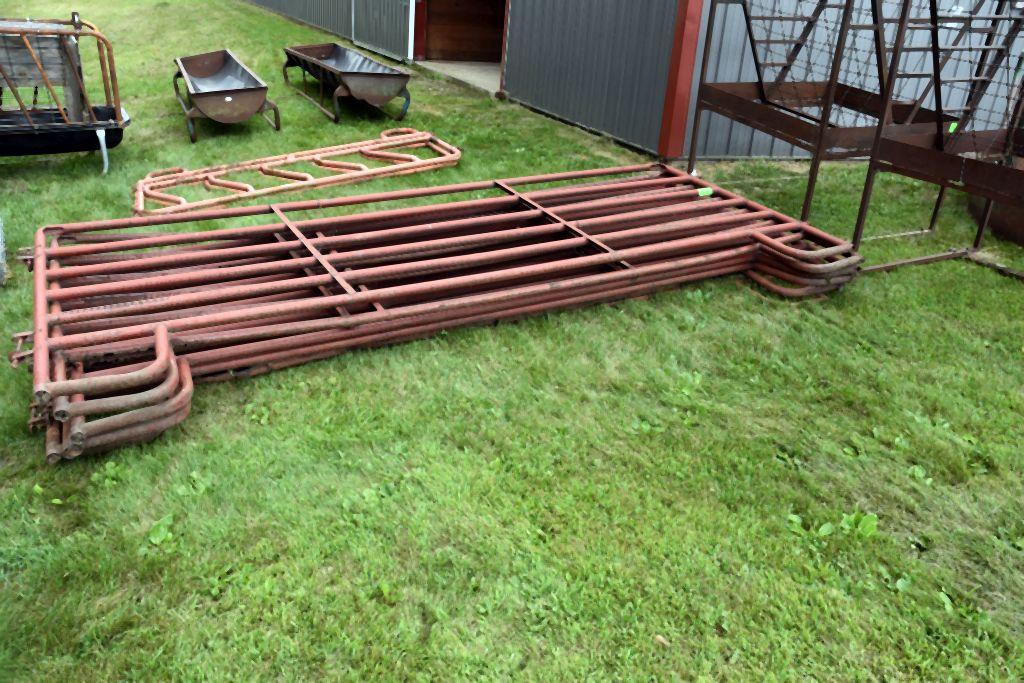 (6) 12' Metal Cattle Gates, Selling 6x$