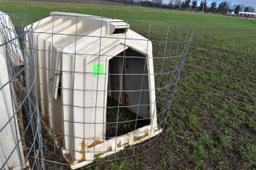 Calf-Tel Calf Hutch, With Wire, Used