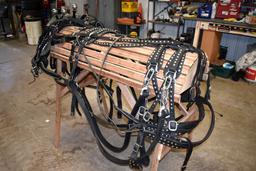 Quarter Horse Harness