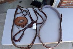 Single Training Harness, New, With Lines