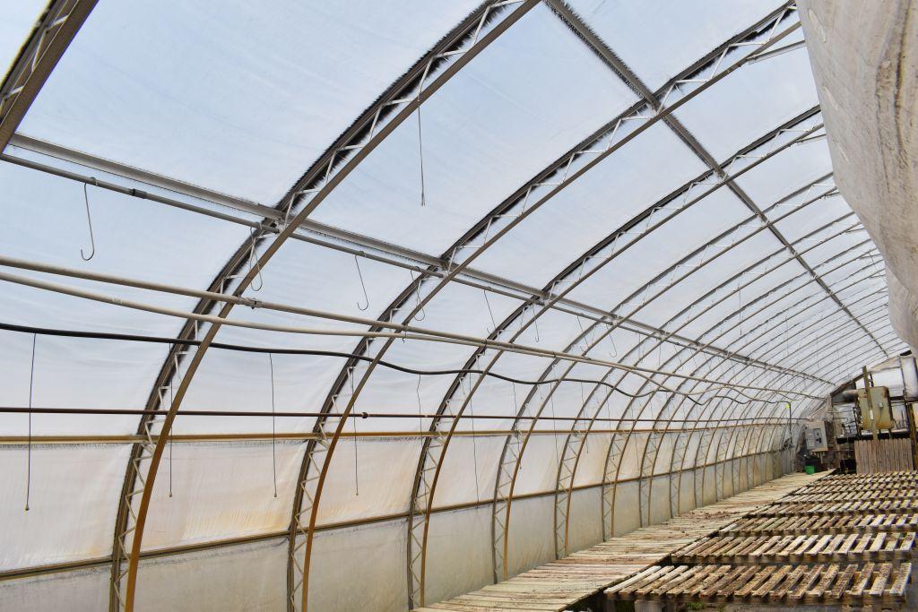 27'x96' hoop greenhouse with two fans, Buyers responsible for removal, must be removed