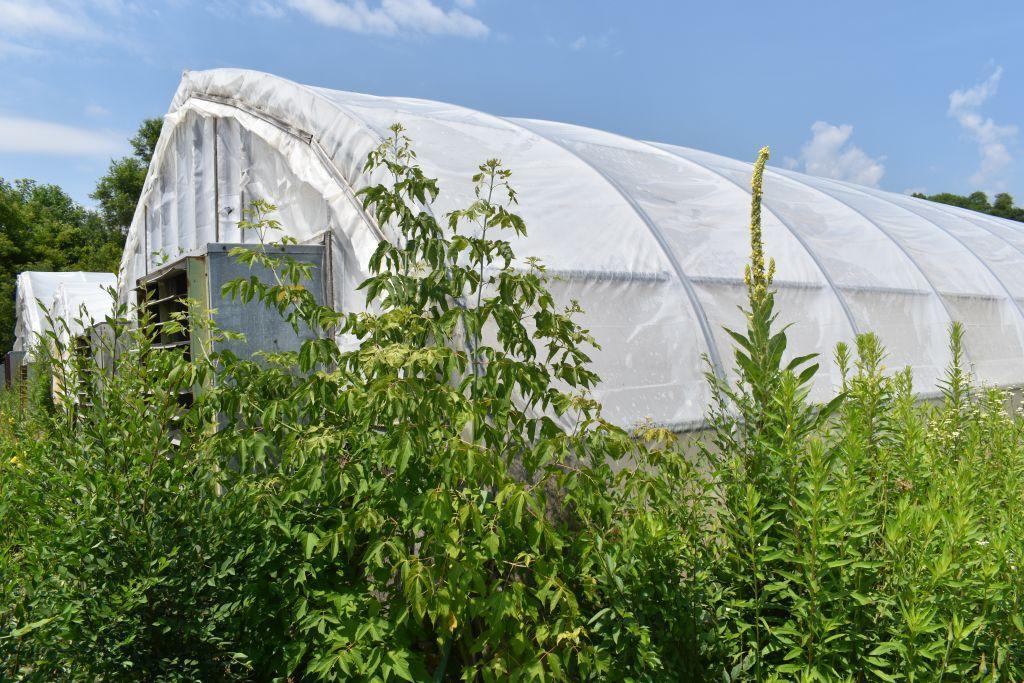 27'x96' hoop greenhouse with two fans, Buyers responsible for removal, must be removed