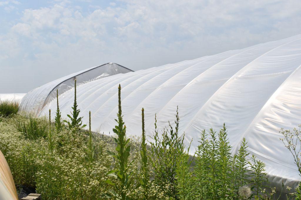 27'x96' hoop greenhouse with two fans, Buyers responsible for removal, must be removed