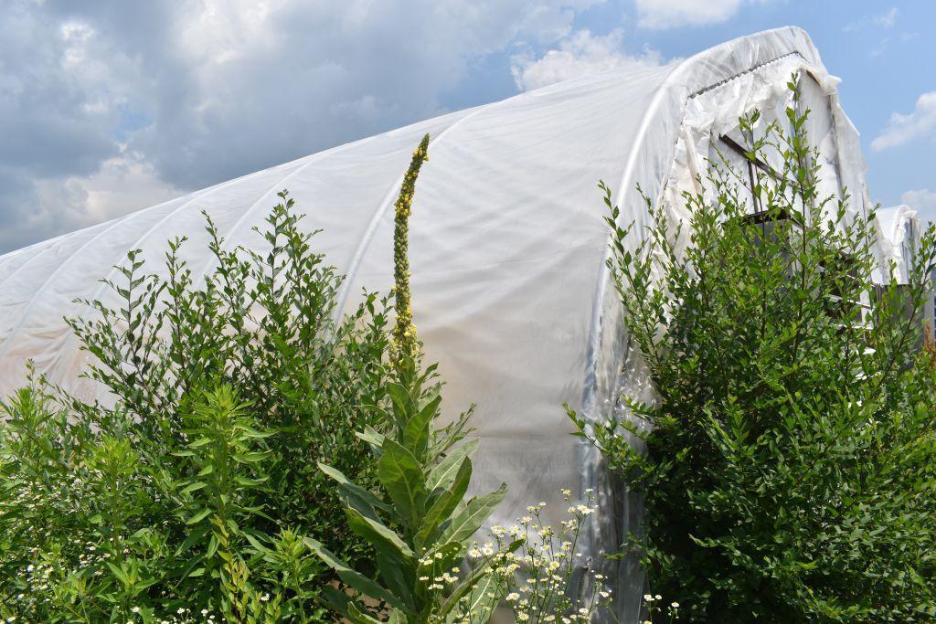 27'x96' hoop greenhouse with two fans, Buyers responsible for removal, must be removed