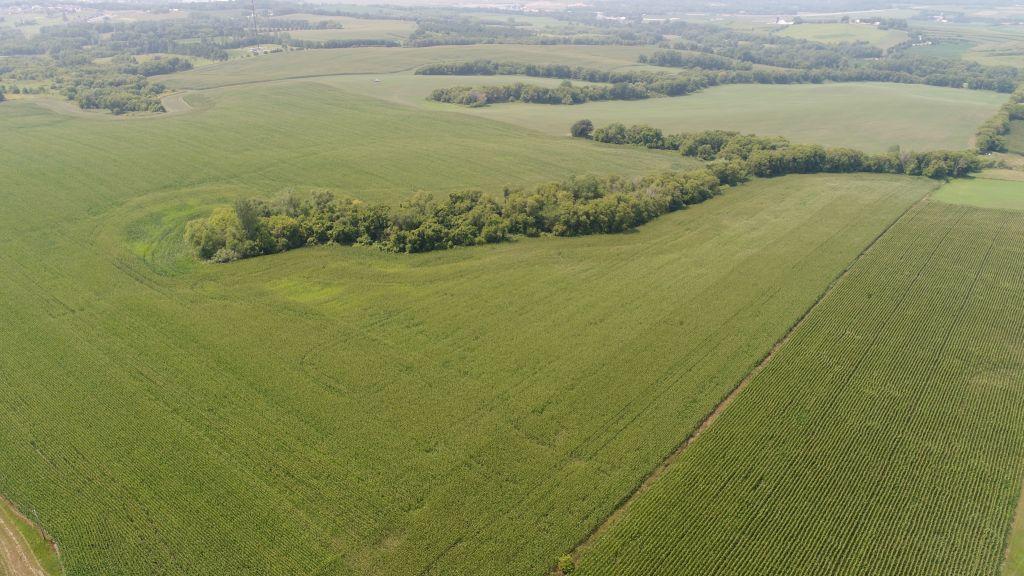 Parcel/Lot 3 - 147.62 Acres Of Bare Crop Land, In Section 13, Minneola Township, Goodhue Co. MN