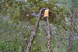 10' Log Chain with 2 Hooks
