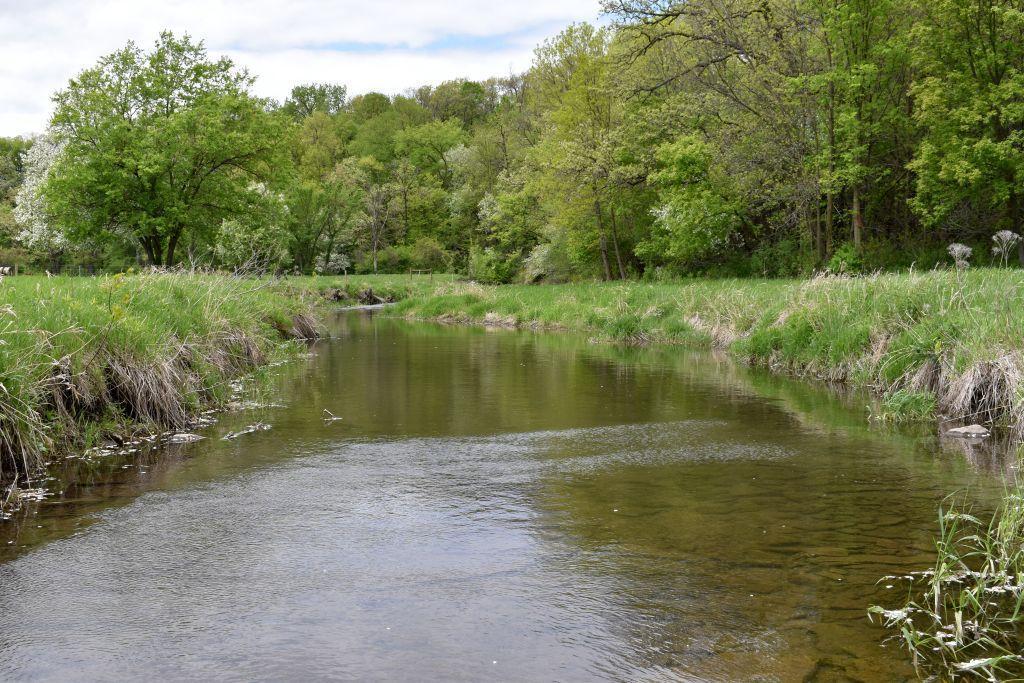 Parcel/Lot 1 91.21 Acre Building Site in Wanamingo TWP, Goodhue Co. MN