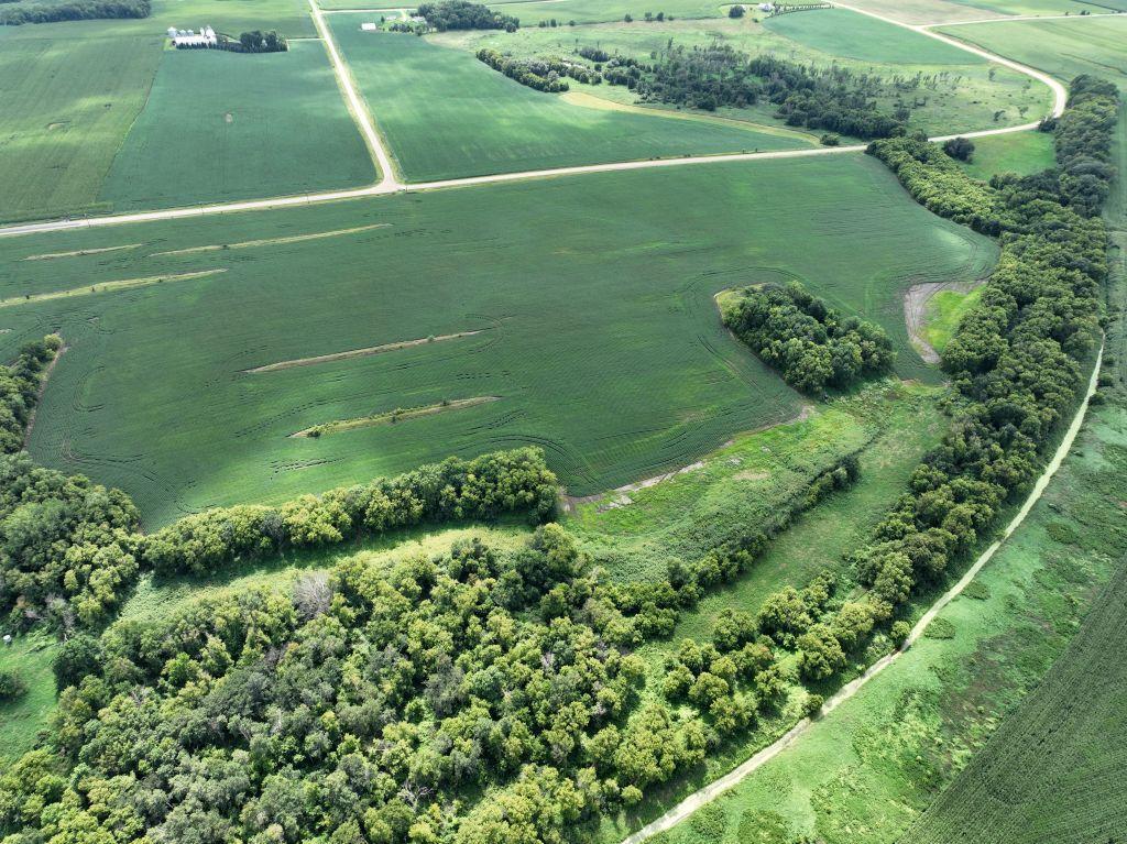 Parcel/Lot 1 - 49.45 Acres In Section 9, Montgomery Township, Le Sueur Co. MN