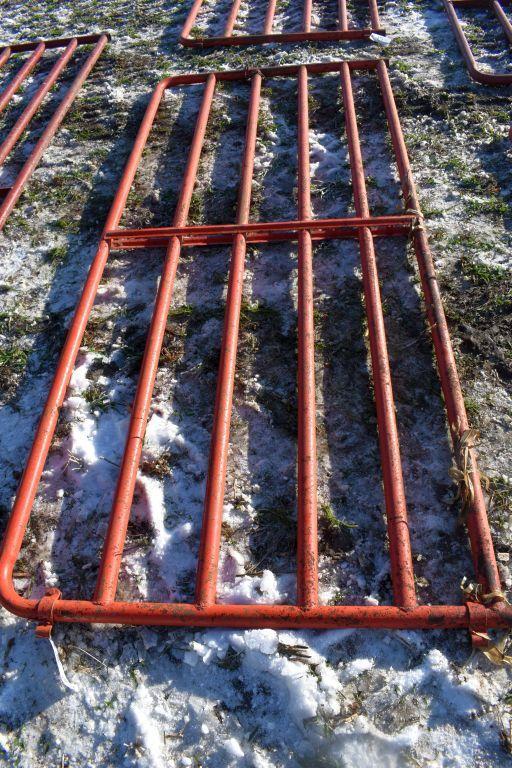 10' Livestock Tube Gate, Good Condition