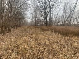 44 Acres in 1 Tract