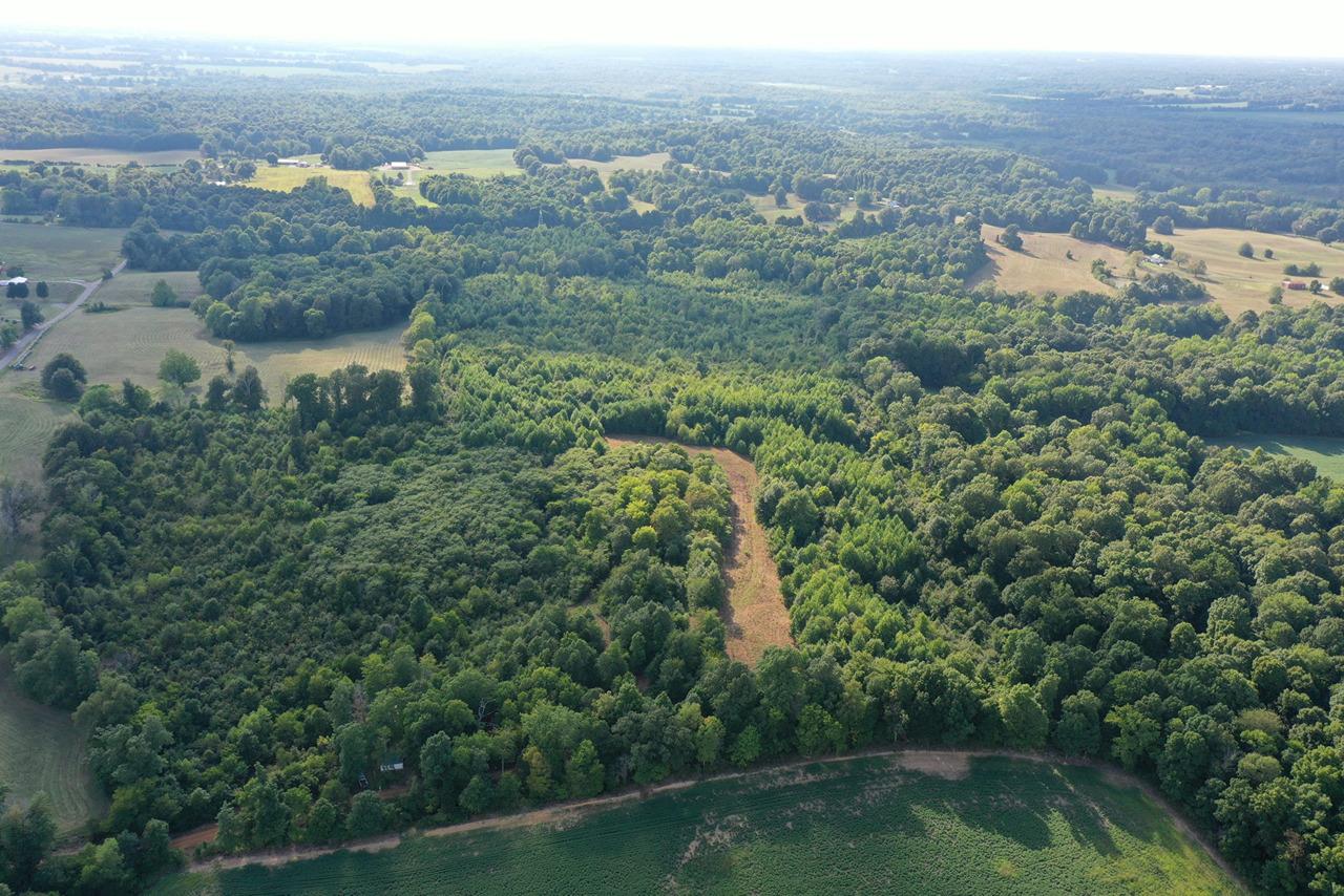 51.34 ACRES IN 1 TRACT IN CUNNINGHAM KY